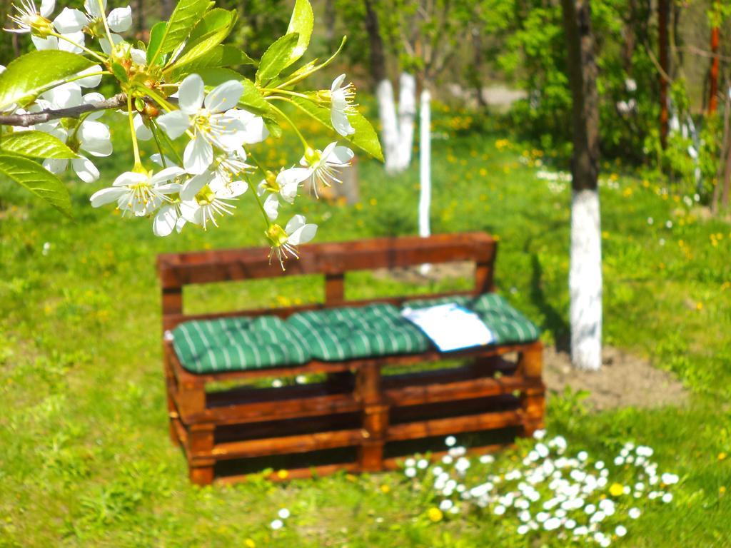 Pensiunea Valea Cernei Teliucu Inferior المظهر الخارجي الصورة